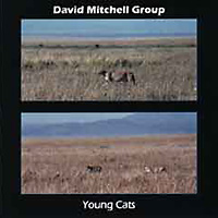 Young Cats CD